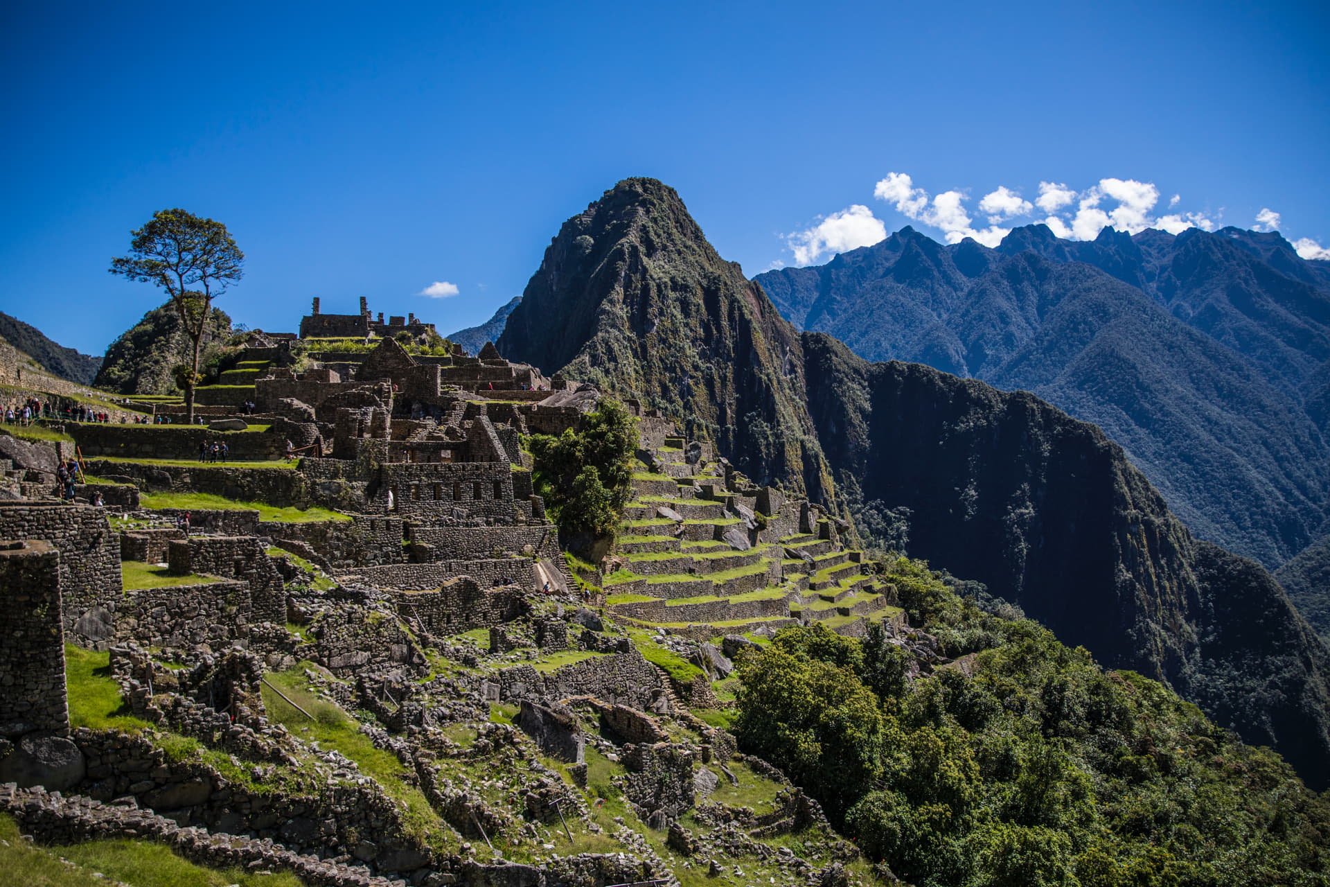 Machu Picchu full day