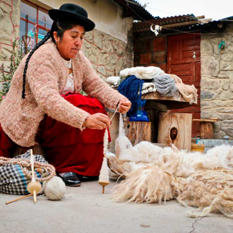 kuntur's andean adventur - proceso-de-lana